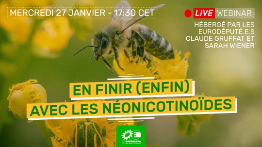 En finir (enfin) avec les néonicotinoïdes ! / Une conférence en ligne des écologistes européens / mercredi 27 janvier 17h30 @gruffat_claude #abeilles #neonicotinoides